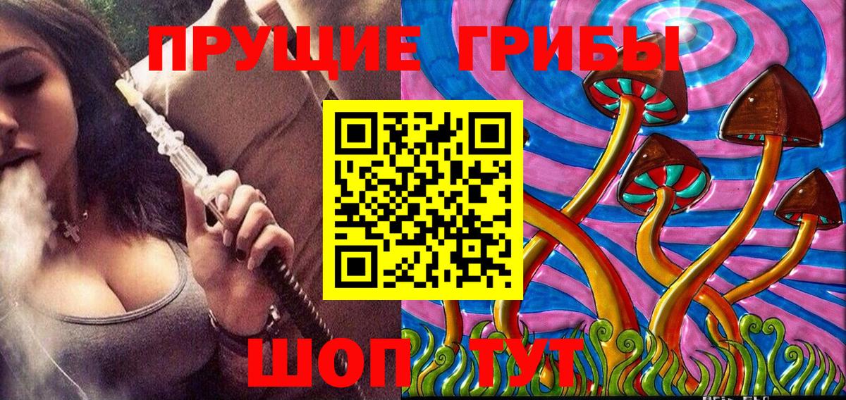 Галлюциногенные грибы Psilocybe Великий Устюг